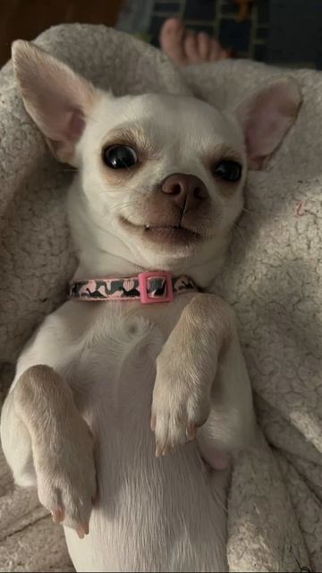 Печалька смотреть онлайн