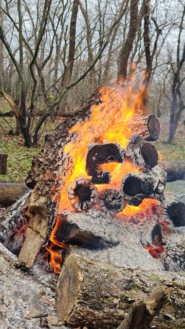 ХОРОШИЙ ЗИМНИЙ КОСТЕР смотреть онлайн