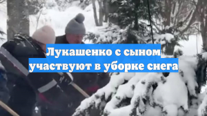 Лукашенко с сыном участвуют в уборке снега