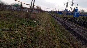 Делюсь : Радостью моего рода ,прогулка вчера!