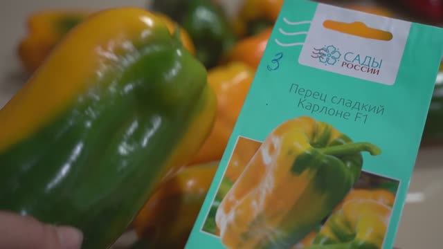 Перец.  Урожайные Сорта перца смотреть онлайн