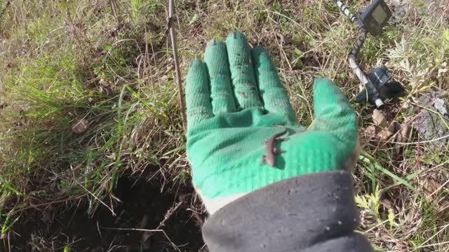 Металлокоп Осень.Стаянка геологов смотреть онлайн