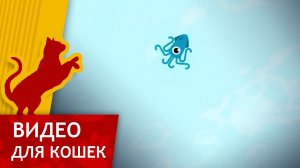 Видео для кошек - Шустрый кальмар (Ваш кот будет доволен!)