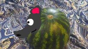 У нас в доме Элефантини арбузини 🤣🤣🤣🤣🤣🤣🤣🤣🤣🤣🤣🤣🤣🤣🤣🤣🤣