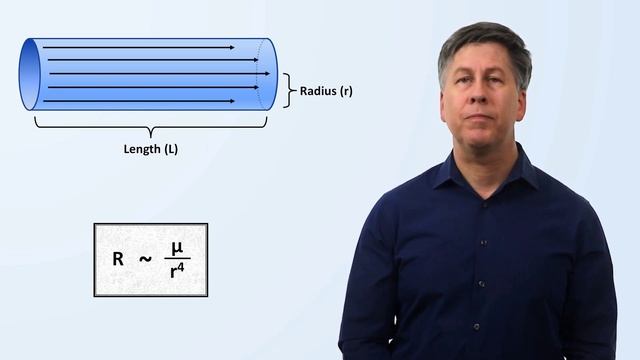6_Hemodynamics Eric Strong