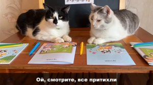 ГИМН ШКОЛЫ КОТОВ! КОТ МАЛЫШ и КОШКА МУРКА ПОЮТ ПЕСНЮ ПРО ШКОЛУ! ОФИЦИАЛЬНЫЙ КЛИП