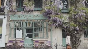 ОЧАРОВАТЕЛЬНЫЙ ВЕСЕННИЙ ПАРИЖ. ГЛИЦИНИЯ В ЦВЕТУ  ЦВЕТОЧНЫЙ МАГАЗИН