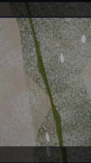 Флинстоуны 113105