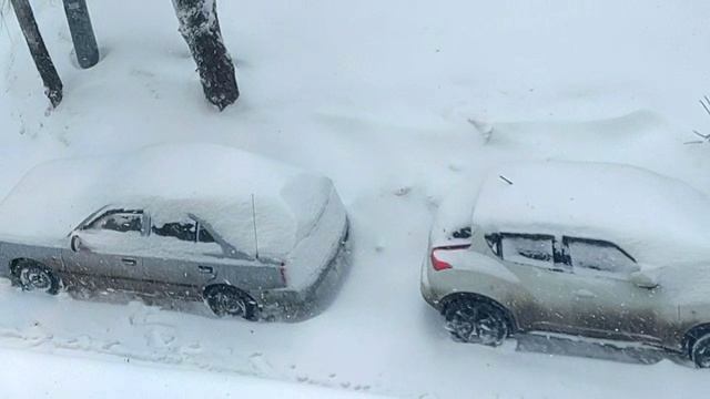 Хотели снега? На те!! ) За день толщина снежного покрова 52 см. 09.01.26 смотреть онлайн