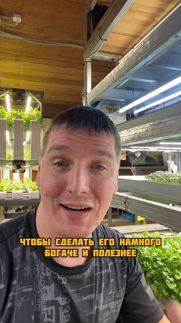 Не волшебная таблетка смотреть онлайн