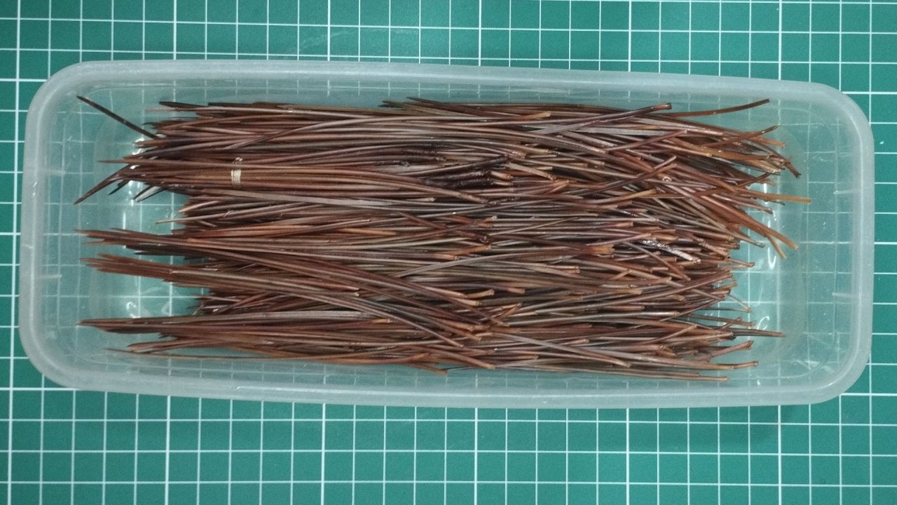 Сосновая игла. Тепловая обработка- 2 этап подготовки к плетению смотреть онлайн