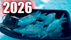 Рыбалка 2026 на Красноярском водохранилище. Зимняя рыбалка.