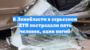 В Ленобласти в серьезном ДТП пострадали пять человек, один погиб