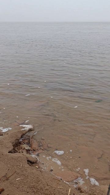 #рыбалка подпишитесь пожалуйста 🥺 🙏