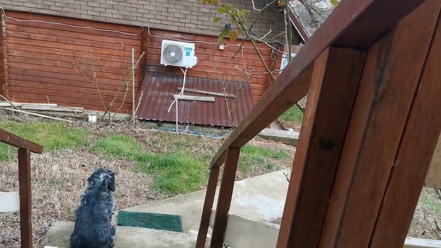 СОЧИ ГОРНОЕ ЛОО ВЕЧЕР 10.01.2026 смотреть онлайн