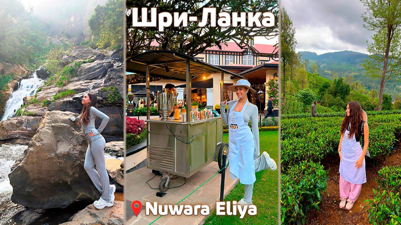 ОБЕЗЬЯНКИ 🙊 КАМНЕПАД 🪨 СЛОНЫ 🐘 👉🏻 едем в ГОРЫ на Чайную ПЛАНТАЦИЮ 📍👒 смотреть онлайн