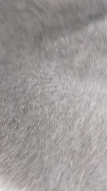 89507716355 Платок плед для тепла и здоровья смотреть онлайн