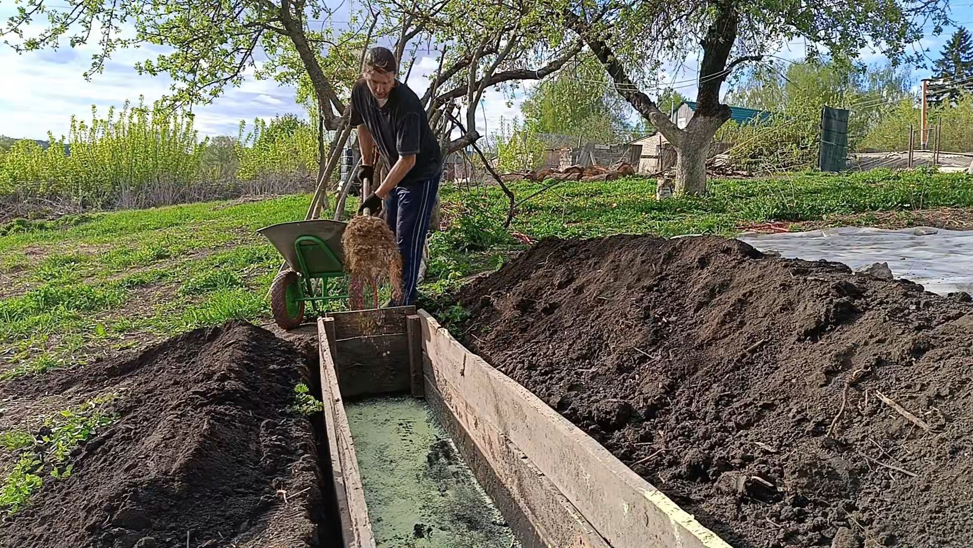 Как посадить и вырастить голубику. смотреть онлайн