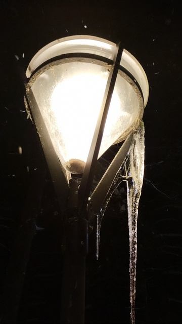 PXL_20260110_070902434