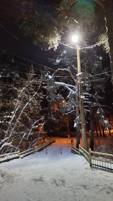 PXL_20260110_070949714