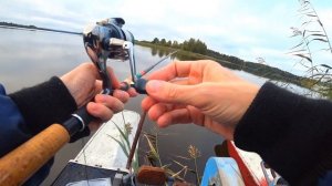 НЕОБЫЧНАЯ РЫБАЛКА