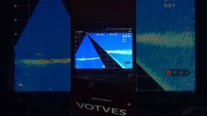 Panoptix нервно закурил... . Очередное обновление для  Accuphy Ping Live Mini .