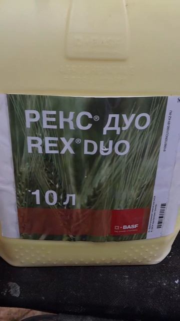 Рекс Дуо от Мучнистой росы