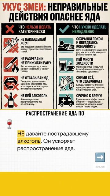 что делать если укусила змея.mp4