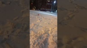 20260110 Это видео  я сняла вчера вечером. Столько снега не было давно.