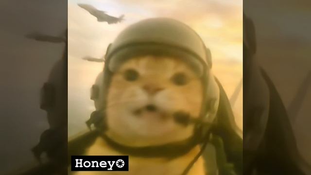 Котеки:3 смотреть онлайн