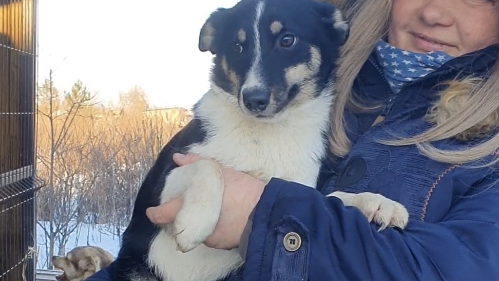 Адель из приграничья ищет дом смотреть онлайн