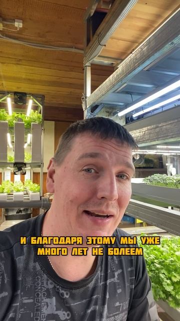 Каждый день можно смотреть онлайн