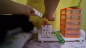 делаю котёнку по имени малышу квартирку