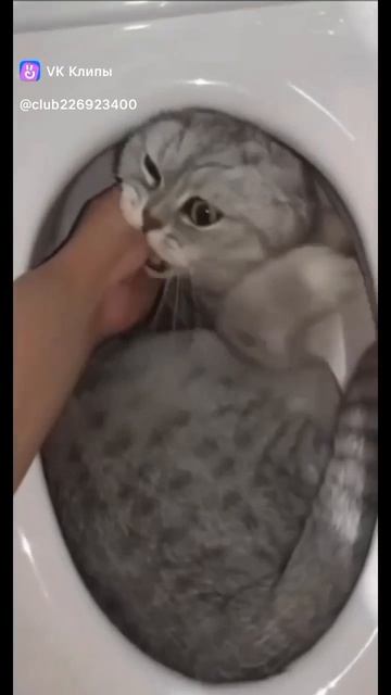 лучше места не найти!)))