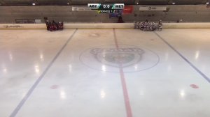 2015: Первенство СФО по хоккею среди юношей (день 6)