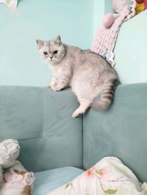 отвечаю на вопросы подписчиков