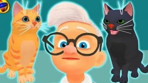 БАБКА И КОТ