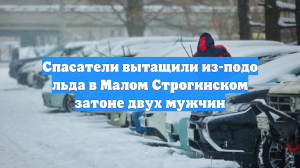 Спасатели вытащили из-подо льда в Малом Строгинском затоне двух мужчин
