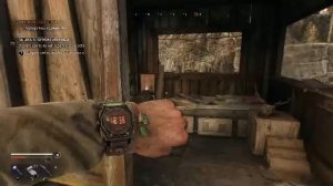 Прохождение игры Dying Light: The Beast (Стрим) в 2026 # 11