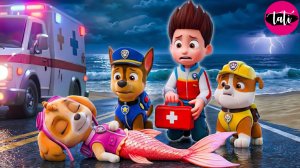 Щенячий патруль и Маршалл. Залипательное видео. Мультфильм для детей и малышей. Анимация 71