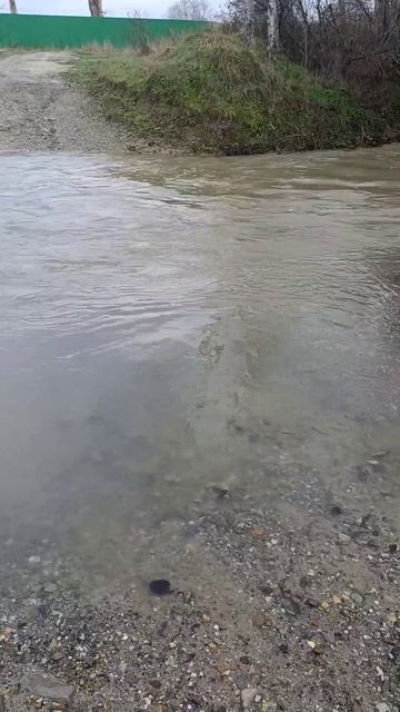 Река Сукко, ЖК Кипарис 9 января 2026 года. Репортаж Светланы Тихоновны смотреть онлайн