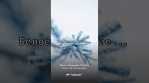 белое безмолвие