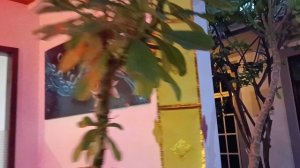 Тайское бистро Chao Koh, Камаду, Мальдивы 2026 (Thai Bistro Chao Koh, Kamadhoo, Maldives, Jan'26)