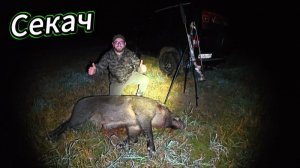 Охота на Кабана с Подхода  Хороший Секач