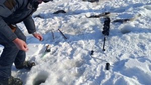 На Урми в Песчаном 2 / DG_KHAGAY