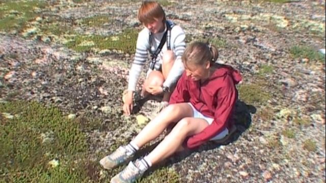 ©  «Русский. Девицы на вершине»  2004 г