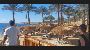 Путешествие в Египет