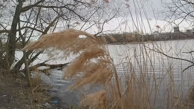 Рыбалка на Свияге. Мелочь, а приятно. АРХИВ (апрель 2025) смотреть онлайн