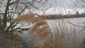 Рыбалка на Свияге. Мелочь, а приятно. АРХИВ (апрель 2025)