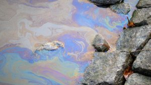 Нефтепродукты попали в реку Вьюн в Ленобласти